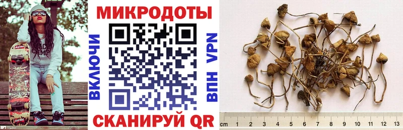 кракен ССЫЛКА  Красноармейск  Псилоцибиновые грибы Cubensis  где купить наркотик 