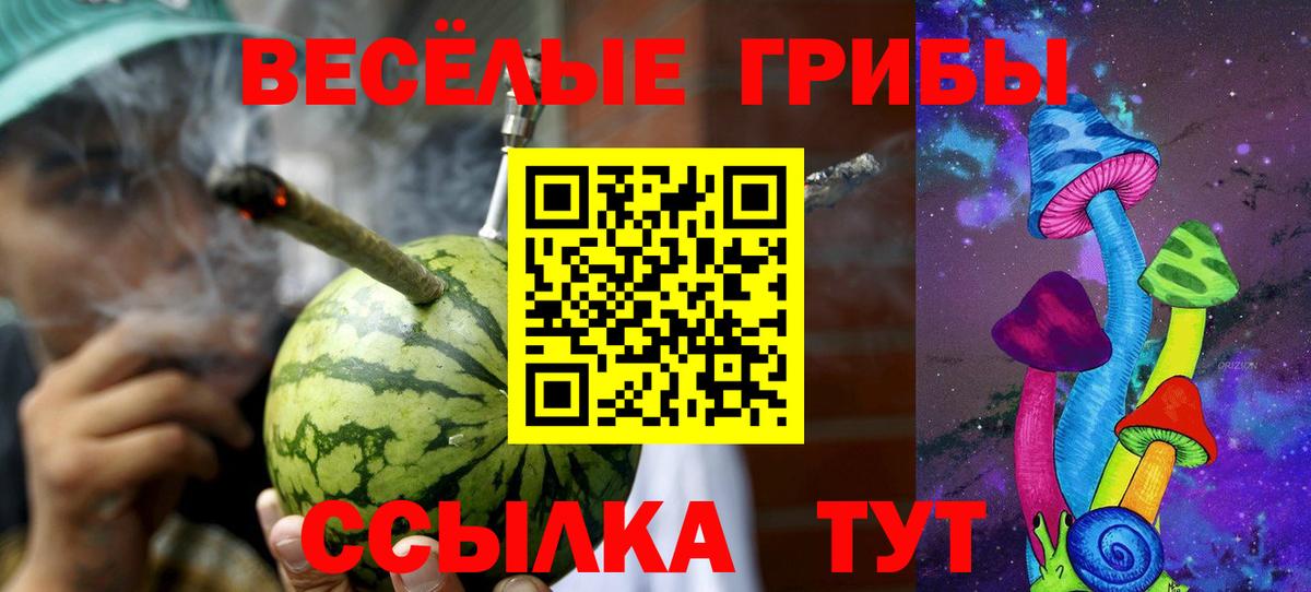 Красноармейск  Псилоцибиновые грибы Psilocybine cubensis  Вход с VPN 